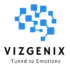 vizgenix 2